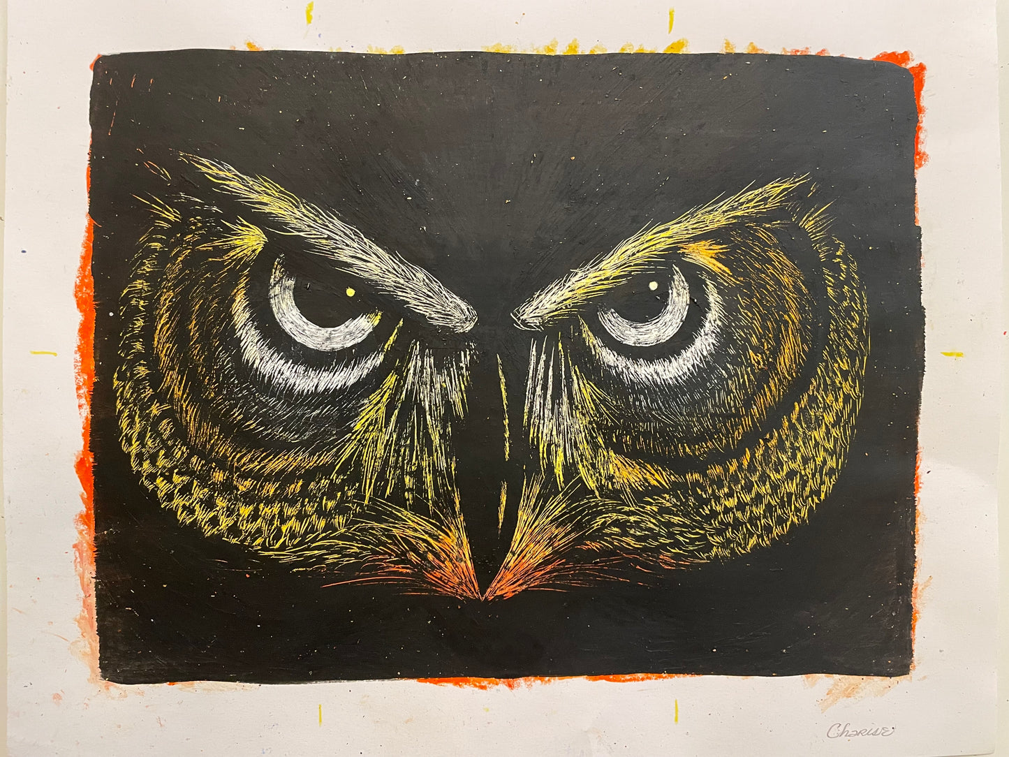 Owl Gaze