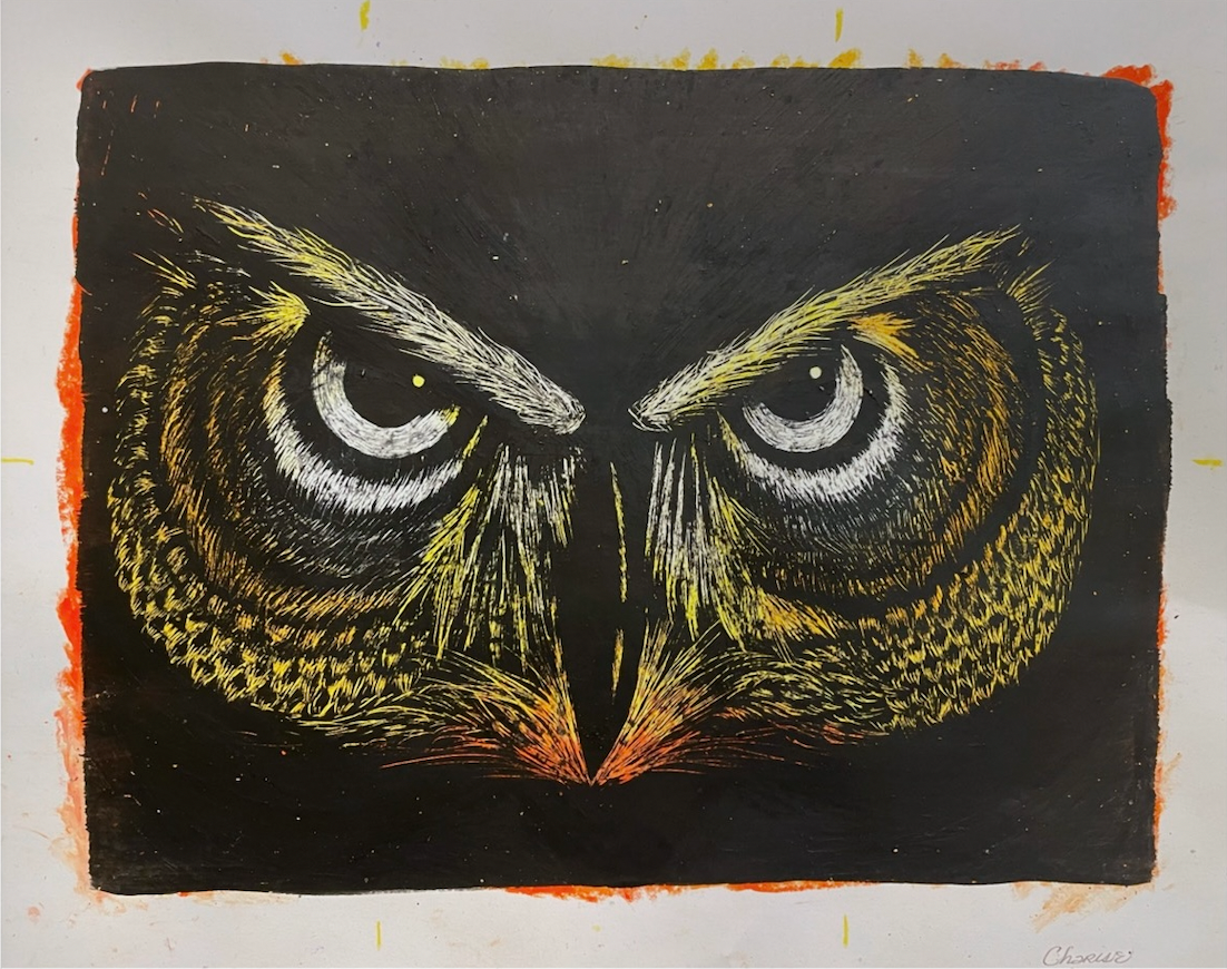 Owl Gaze
