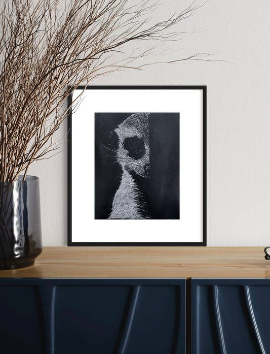 Meerkat