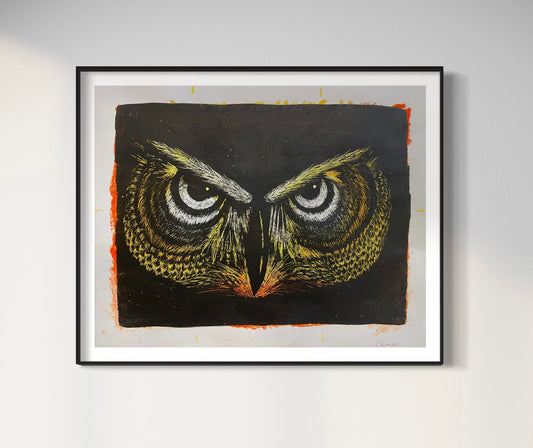 Owl Gaze